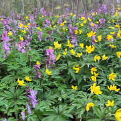 22-04-16 11-24-29 0533